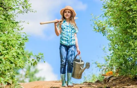 Watering tools that will solve dry yard problems. Removable rose allows moderate Stock Photos