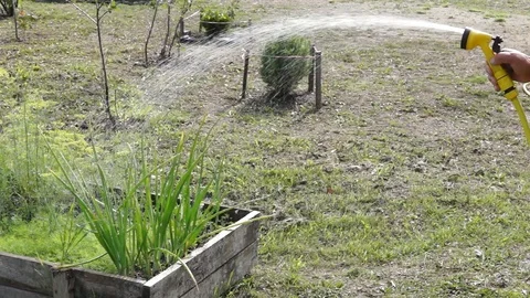Watering vegetables patch with watering hose 스톡 동영상 93666980