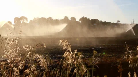 Watering wheat field 3 Vídeos de archivo 22534469