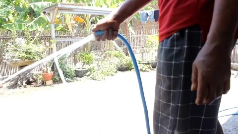 Watering the yard Stock Footage 288799366
