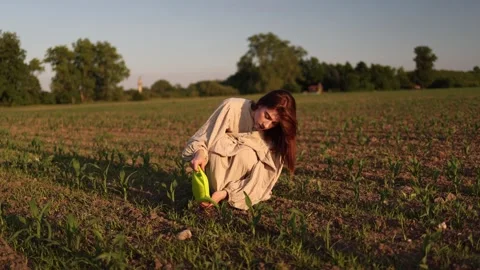 Watering young crops Stock Footage 338384352