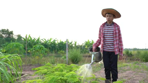 Watering13 Stock Footage 177303991