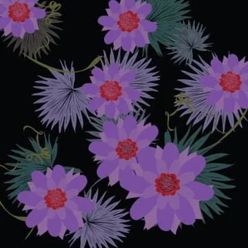 Waterlily Stock Illustration