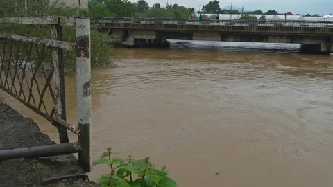 Waterlogged flooding channels developing high water of a small river Video stock 108590143