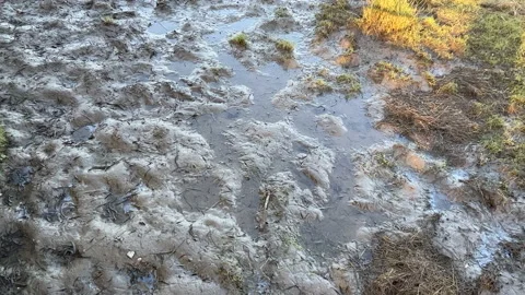 Waterlogged Ground Stock Footage 169478673