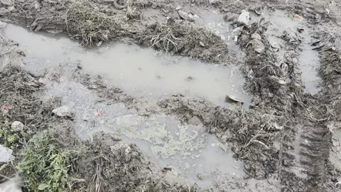 Waterlogged Muddy Patch Beside Indian Highway Vídeos de archivo 317845091
