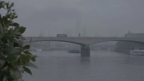 Waterloo Bridge pull focus from bush Stock Footage 142887853