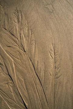 Watermarks drawing tree figures in the sand of a beach Foto stock