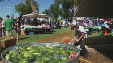 Watermellons for slicing Stock Footage 51229630