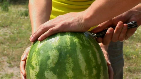 Watermelon 01 스톡 동영상 544730