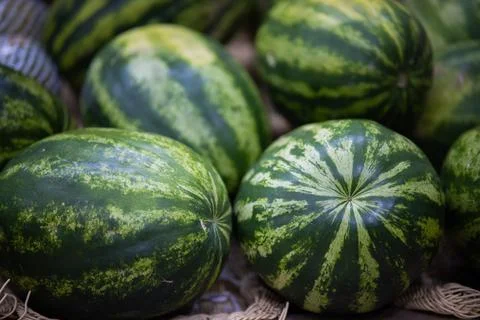 WATERMELON 01 스톡 사진