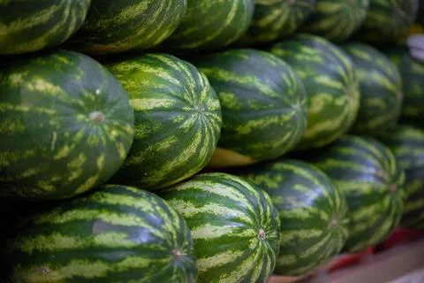 WATERMELON 02 Stock Photos