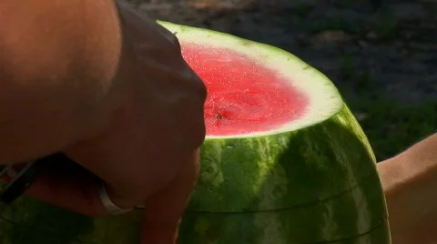 Watermelon 03 스톡 동영상 544679