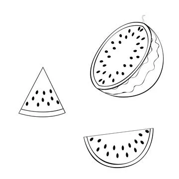 Watermelon 19 Иллюстрация
