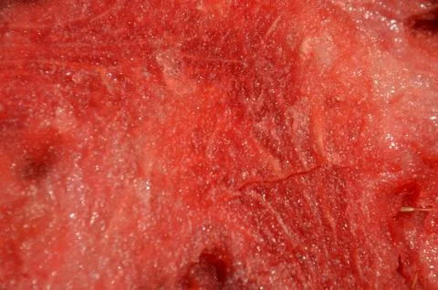 Watermelon 2 Stock Photos