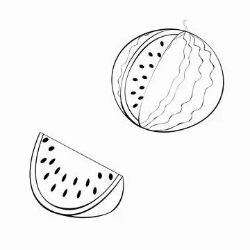 Watermelon 22 Иллюстрация