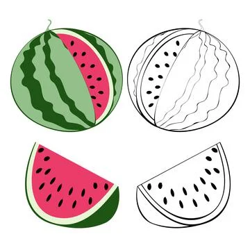 Watermelon 24 Иллюстрация