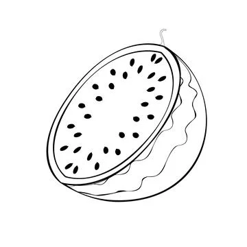 Watermelon 4 Иллюстрация