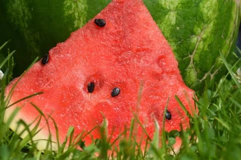Watermelon 5 Stock Photos