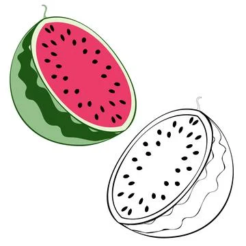 Watermelon 6 Иллюстрация