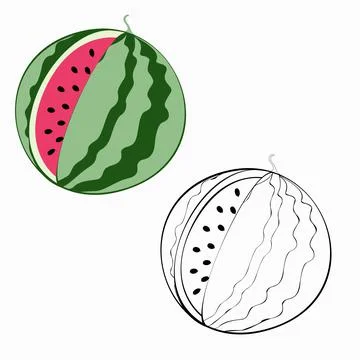 Watermelon 9 Иллюстрация