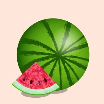 Watermelon and cut slice. Texture of the watermelon with seed. Vector illustr Stock Illustration