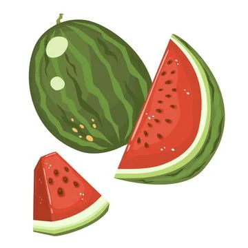 Watermelon and juicy slices of watermelon vector illustration in flat style, Stock Illustration
