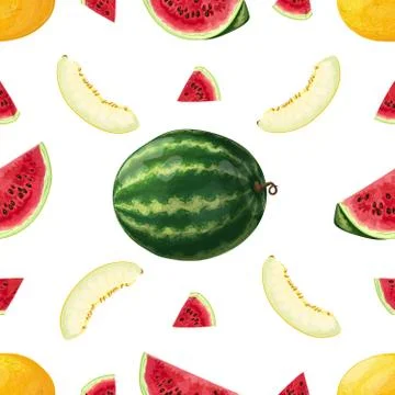 Watermelon and melon. Isolated objects on a white background Stock Illustration