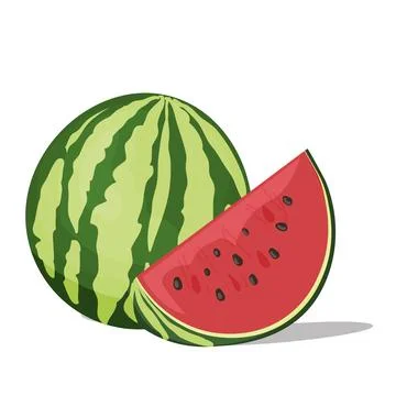 Watermelon and slice isolated Illustrazione stock