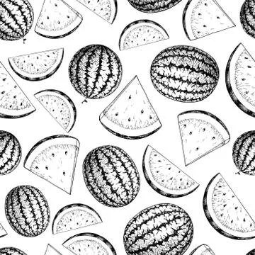Watermelon and slice vector seamless pattern. Isolated hand draw Stock Illustration