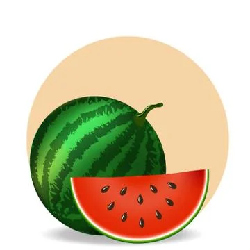 Watermelon and slice on white background Stock Illustration