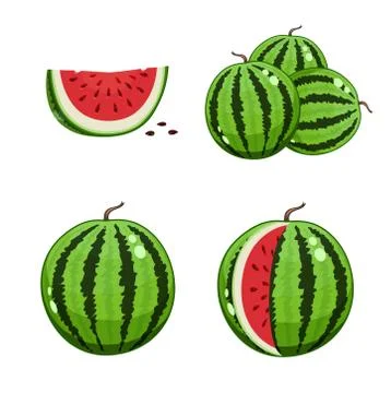 Watermelon and watermelon slice. Set of Vector illustrations.  Vegetarian org Stock Illustration