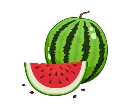 Watermelon and watermelon slice. Vector illustration.  Vegetarian organic swe Stock Illustration