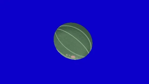 Watermelon animation on blue background Video stock 334772725