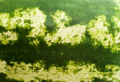 Watermelon background Stock Photos