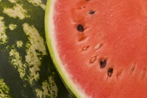 Watermelon background Stock Photos
