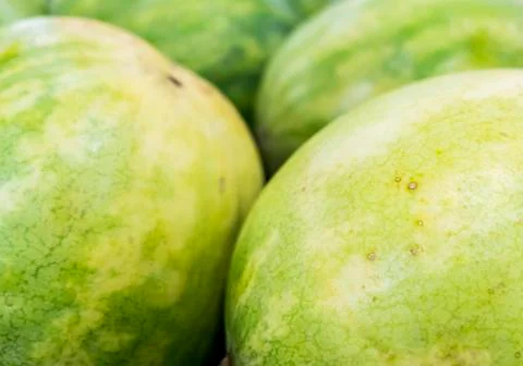 Watermelon background. Stock Photos