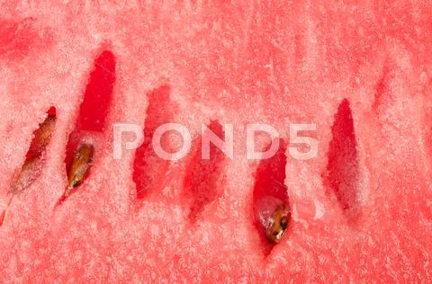 Watermelon backgrounds Stock Photos