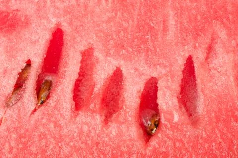 Watermelon backgrounds Stock Photos