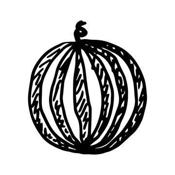 Watermelon black on white background vector illustration. Doodle style. Design Stock Illustration