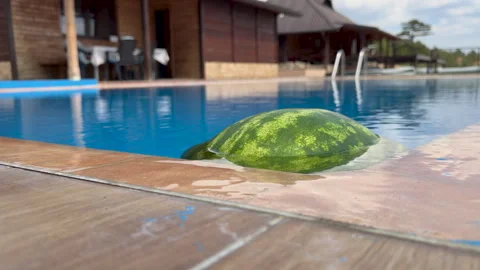 Watermelon bobs at pool edge beside wooden lodge Stock Footage 344905513