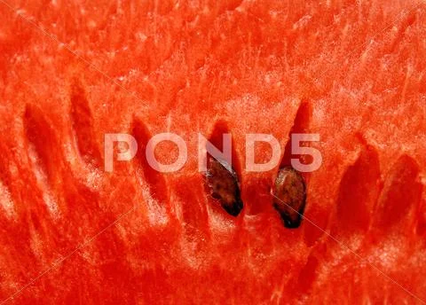 Watermelon close up background Stock Photos