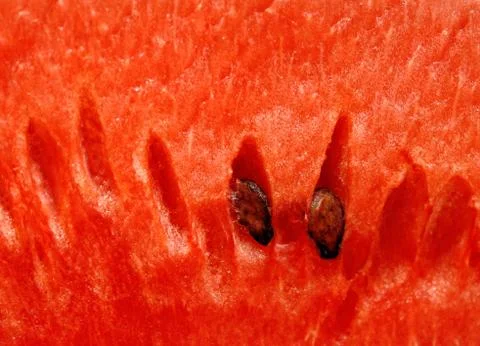 Watermelon close up background Stock Photos