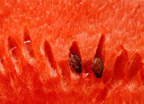Watermelon close up background Stock Photos
