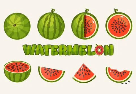Watermelon Collection Set with Text Elements Stock Illustration