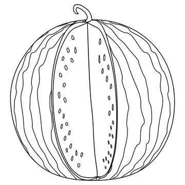 Watermelon Coloring Page Vector Illustration Stock Illustration