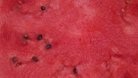Watermelon core close-up rotates in a circle Stock Footage 169328996