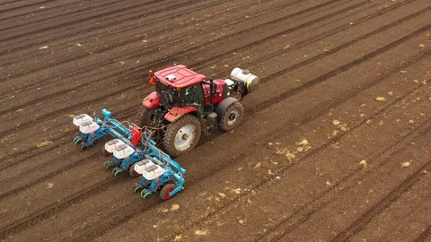 Watermelon cultivation process with a Seeding tractor. Stock Footage 130099894