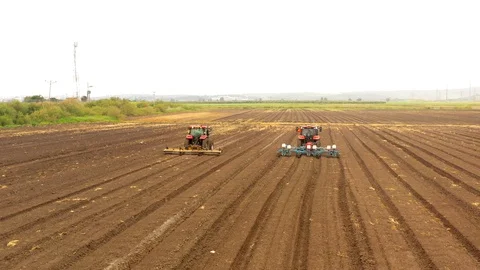 Watermelon cultivation process with a Seeding tractor. Stock Footage 130102135