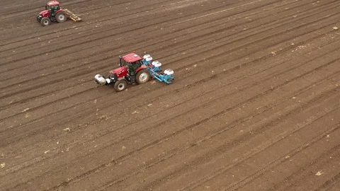 Watermelon cultivation process with a Seeding tractor. Stock Footage 130102624